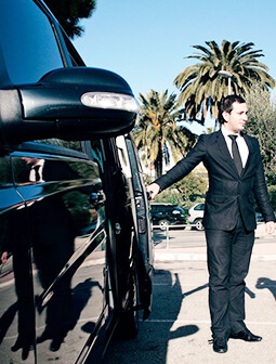 transfers and excrusions